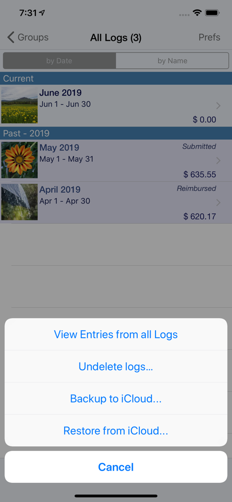 Interfaz de la aplicación XpenseTracker Pro que muestra registros de gastos mensuales con un menú de acciones para copias de seguridad y restauración de iCloud.