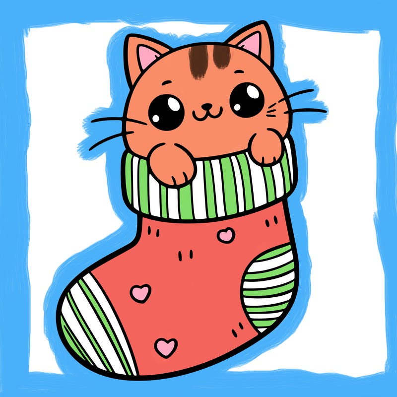 cute cat in a sock