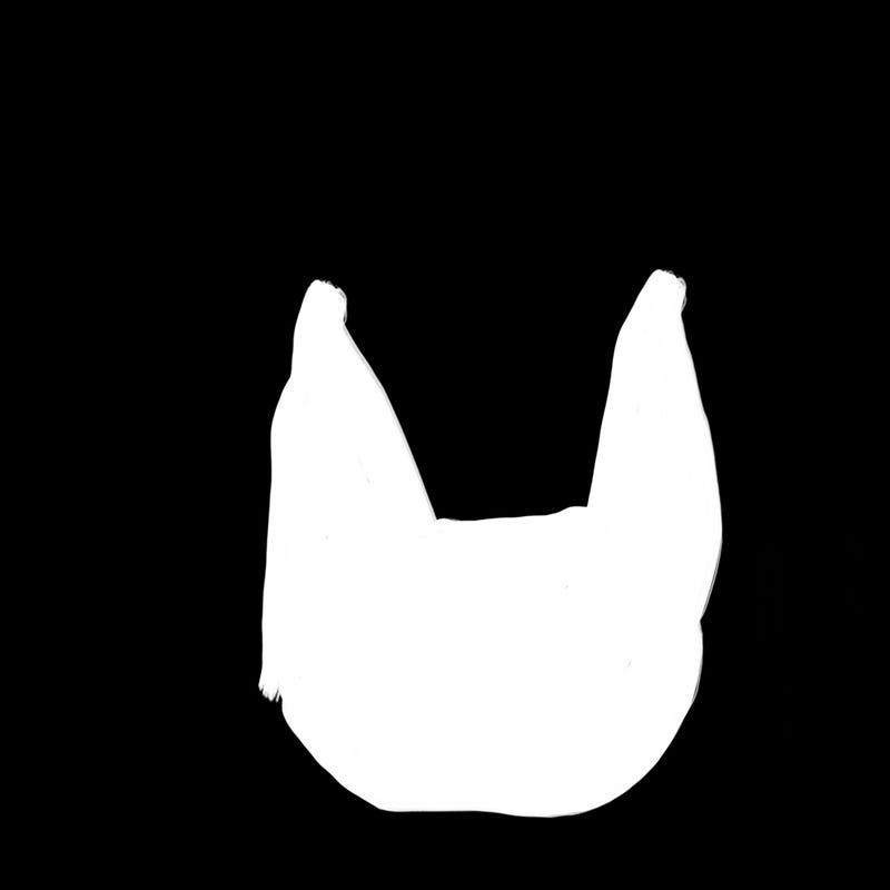 blank white page with nothing drawn on it