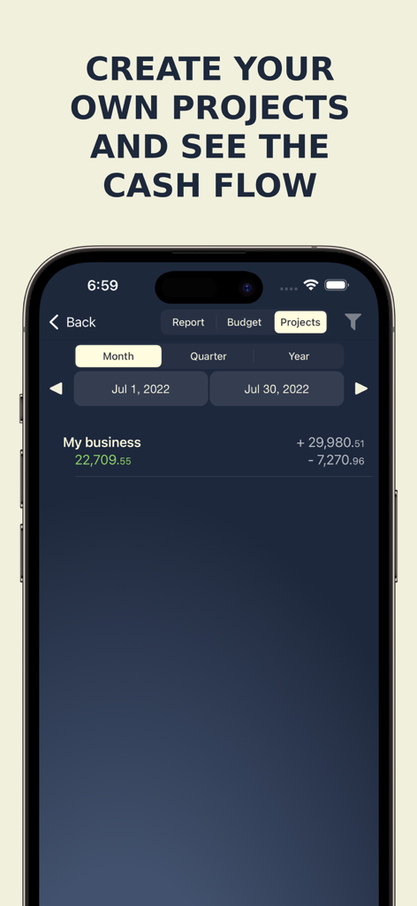 MoneyBe App-Benutzeroberfläche mit Cashflow- und Einnahmenverfolgung für Geschäftsprojekte