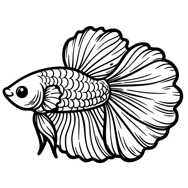 betta