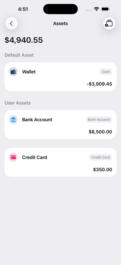 Flow: AI Expense Tracker - Financial assets overview screen in the Flow app showing wallet bank account and credit card balances