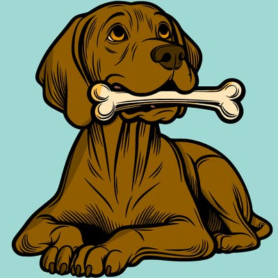 hungarian vizsla with bone in mouth
