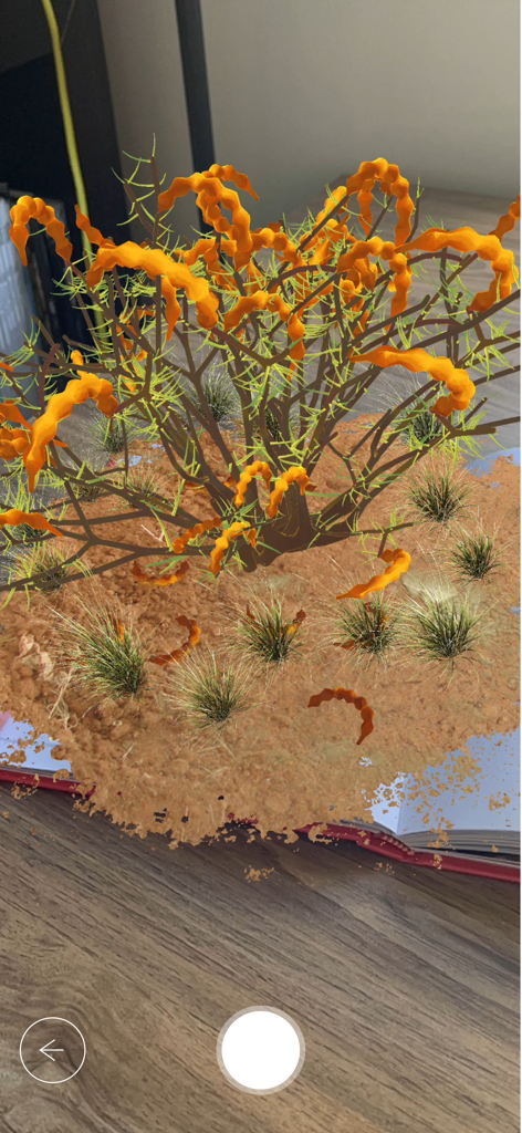 EyeJack - EyeJack app displaying an augmented reality animation of a stylized orange plant emerging from a physical book.