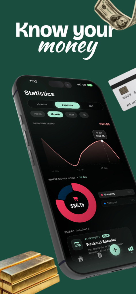 Fint mobile app interface showing expense statistics spending trends and AI insights on an iPhone