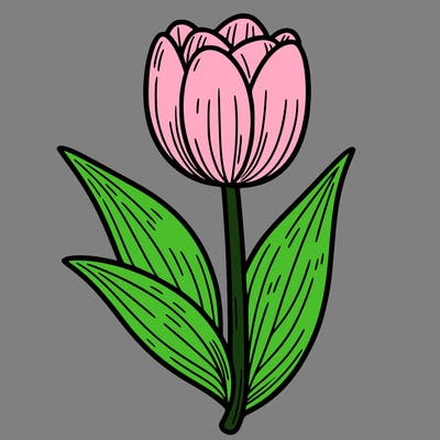 tulip