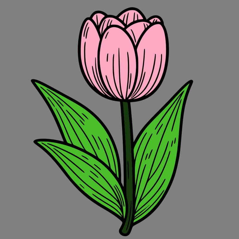tulip