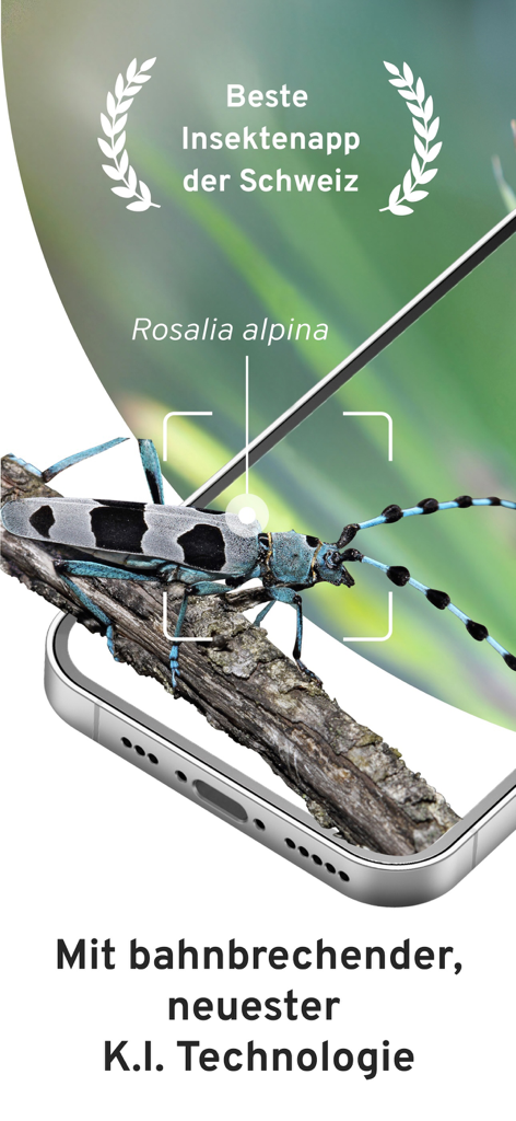 Smartphone screen showing AI identification of a Rosalia alpina beetle.
