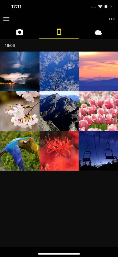 SnapBridge App-Oberfläche mit einer Rasteransicht heruntergeladener Kamerafotos, einschließlich Landschaften und Natur.
