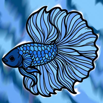 betta fish