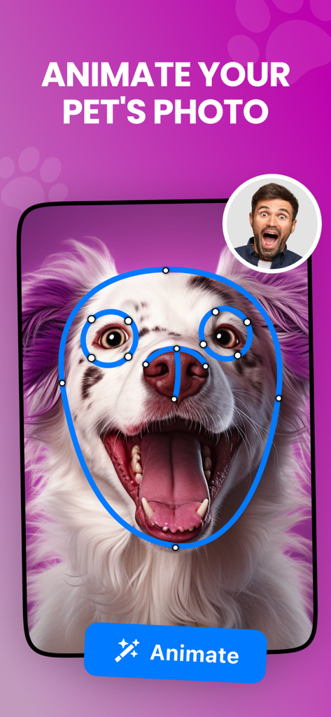 Talking Pet AI: Cat & Dog Talk - Pontos de rastreamento facial de IA em uma foto de cachorro para animação no aplicativo Talking Pet
