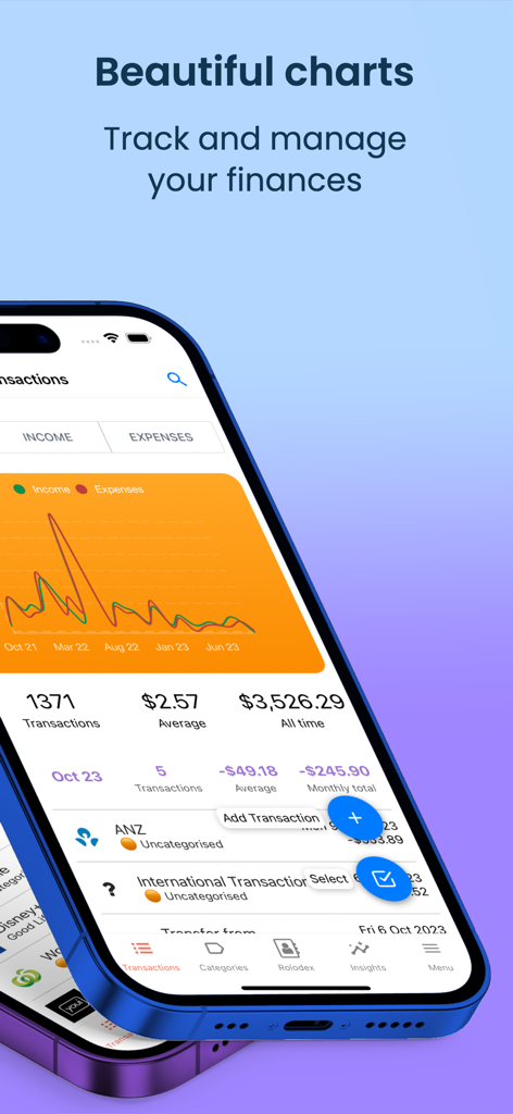 MoneyFlow App-Oberfläche, die Finanzdiagramme und Transaktionsverlauf auf einem iPhone anzeigt