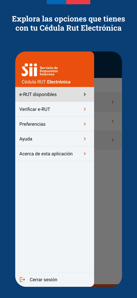 Das Hauptmenü der e-RUT-App mit Optionen für verfügbare Steuernummern, Verifizierung, Einstellungen und Hilfe.
