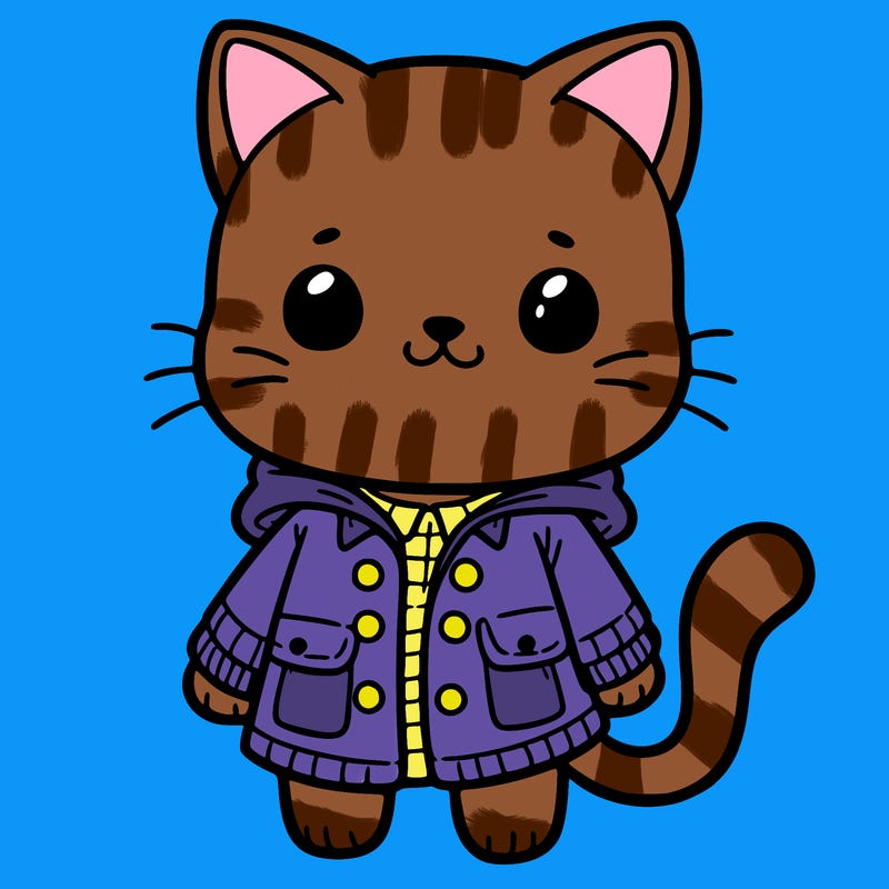 a cat with a outfit