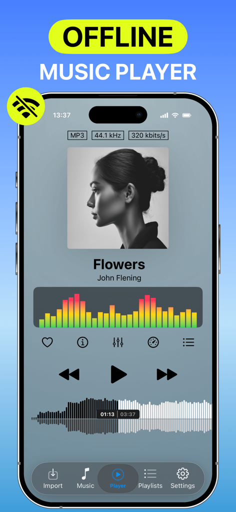 Anywhere - Music Player - Interfaz de la aplicación Anywhere Music Player mostrando funciones de reproducción offline y un ecualizador visual.