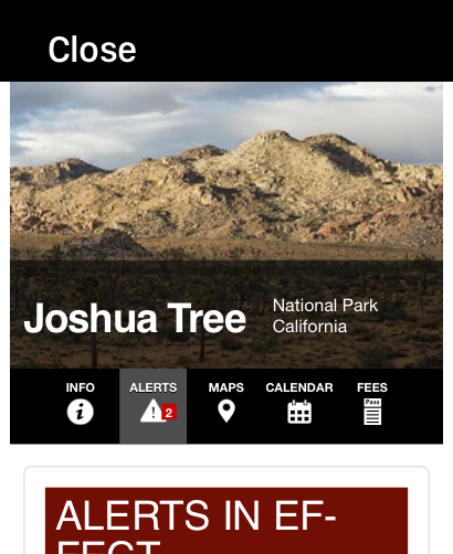 Resultados de búsqueda de Google para el Parque Nacional Joshua Tree en una pantalla de Apple Watch que muestra información y alertas.