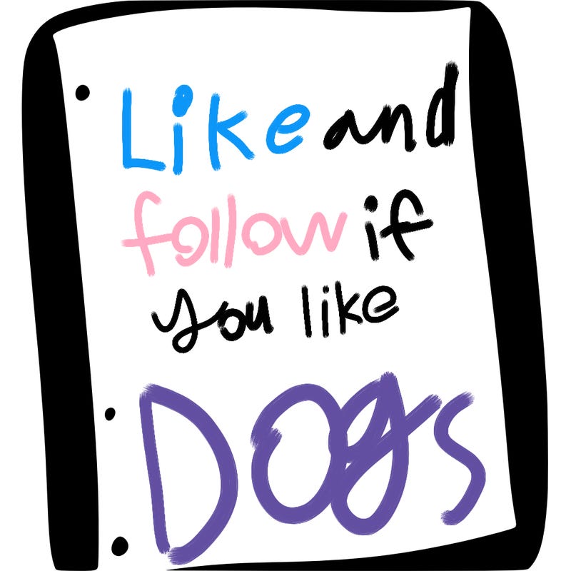 blank white page with nothing drawn on it