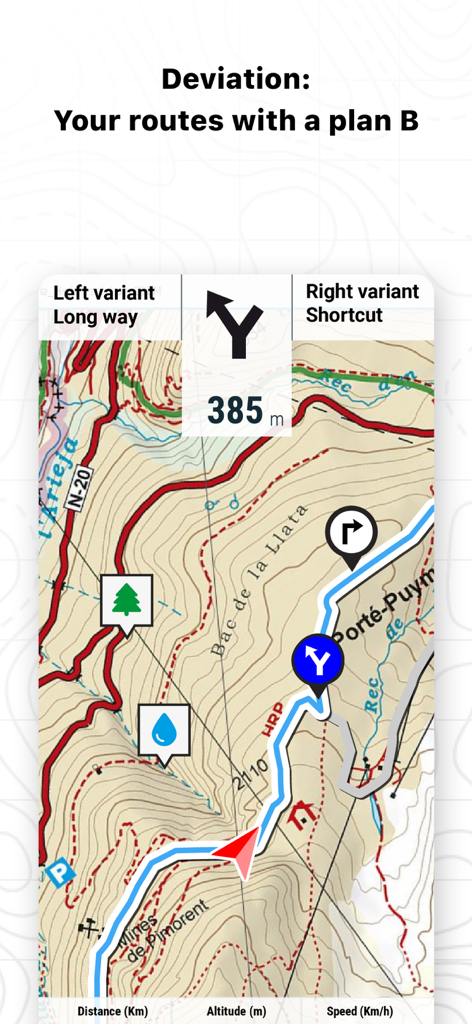 TwoNav 6: Routes and Maps - Topographic map interface in TwoNav 6 showing alternative route options for navigation.
