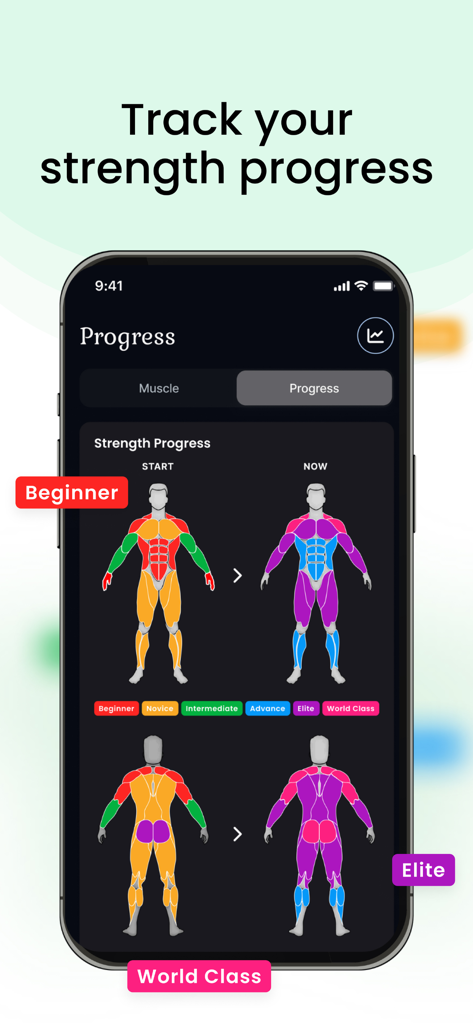 Ephyra - Calorie & Workout - Un rapport visuel de progression de la force dans l'application Ephyra montrant le développement musculaire de débutant à élite sur une carte corporelle.