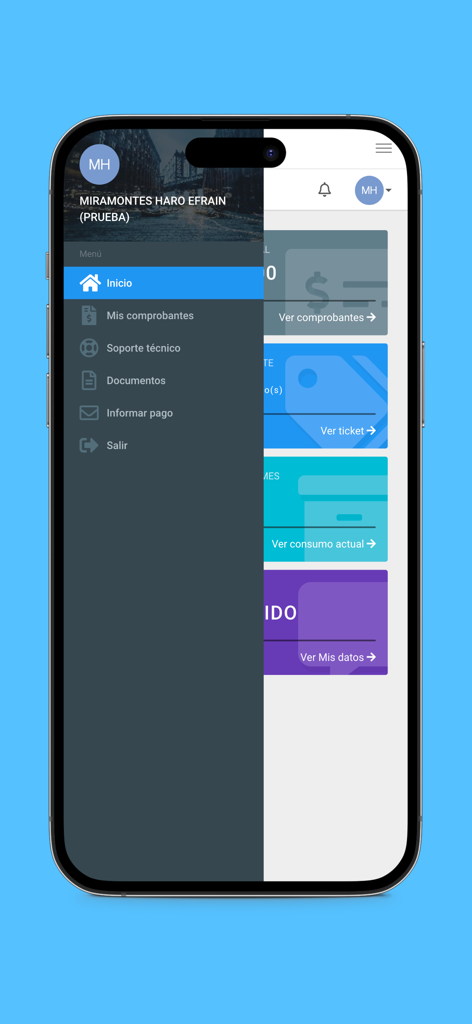 Netmas - Interface of the Netmas app showing a sidebar menu with options for managing invoices and technical support.