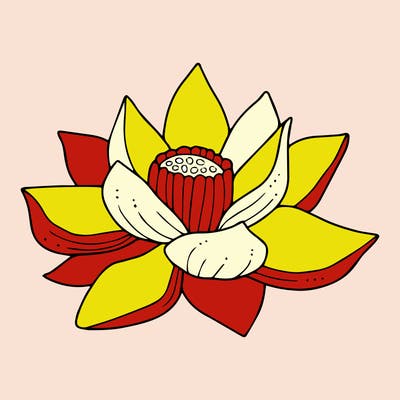 flowers_08