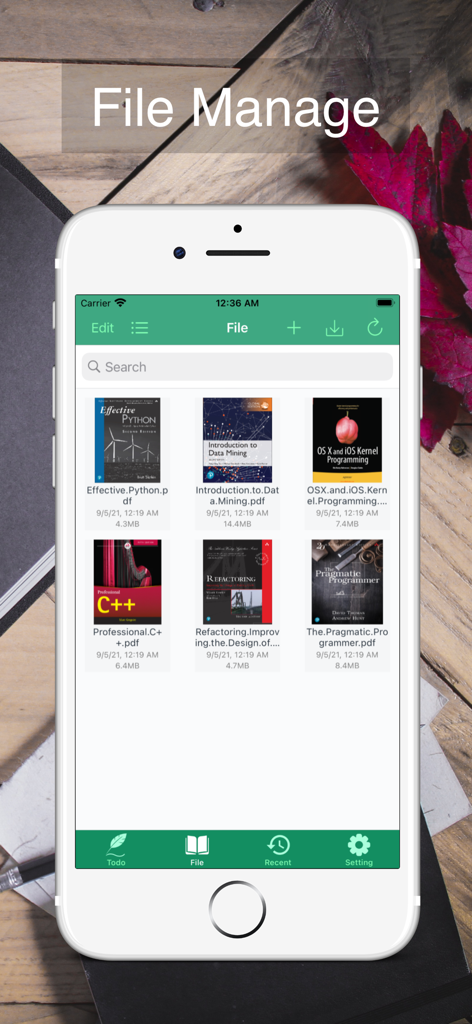 Tela de gerenciamento de arquivos do Leitor de PDF Mini mostrando uma biblioteca de livros técnicos em um iPhone