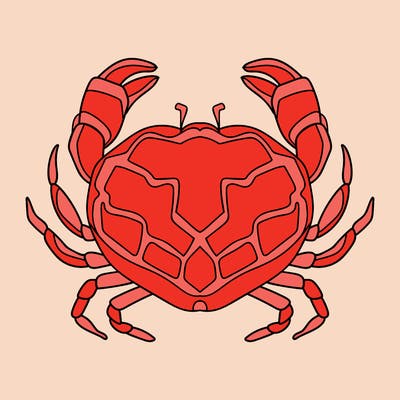 animals_16