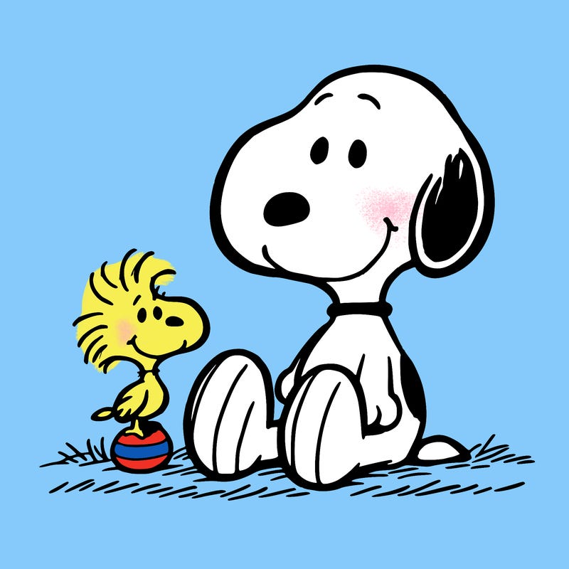 snoopy with woodstock