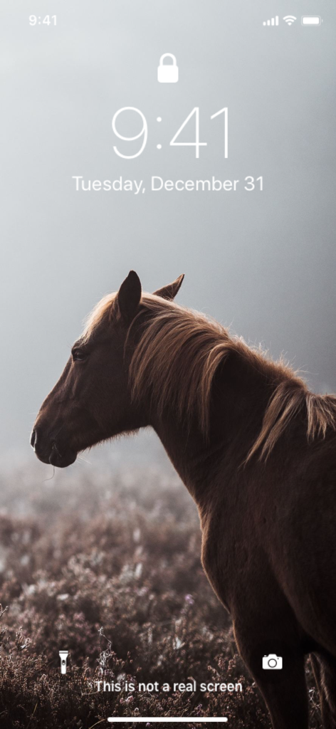 Wallpaper App for iPhone - iPhone lock screen with a brown horse wallpaper in a misty field