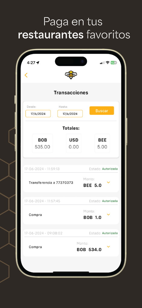 BeePay - Pantalla móvil de la aplicación BeePay que muestra el historial de transacciones y los saldos en español.