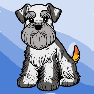miniature schnauzer
