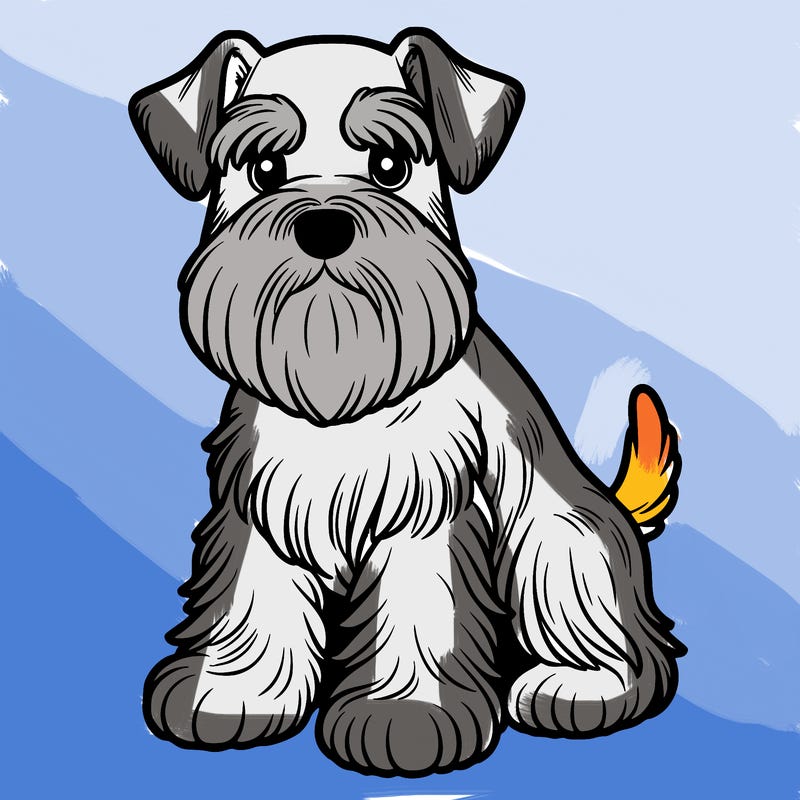 miniature schnauzer