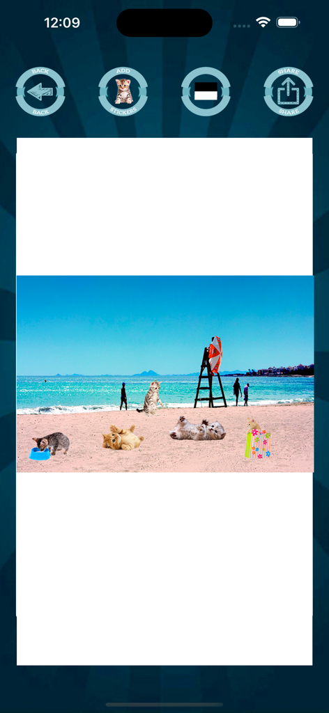 A beach photo decorated with multiple cute kitten stickers using the Cat face stickers filters app interface.