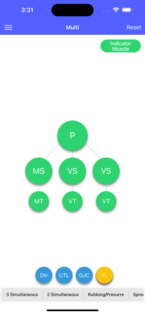 Graphic P-DTR - Graphic P-DTR app interface displaying a hierarchical diagram of neurological receptors for clinical assessment