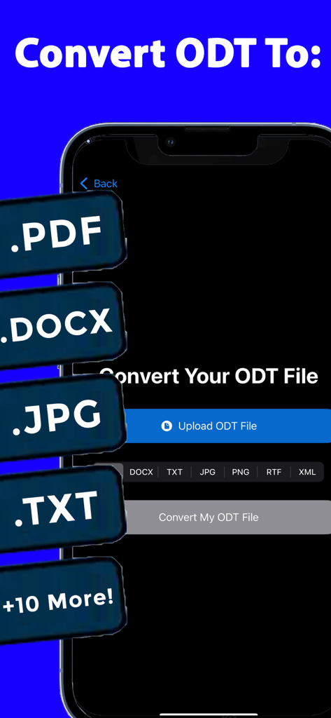 Screenshot dell'app convertitore ODT che mostra le opzioni di conversione in PDF DOCX JPG e TXT