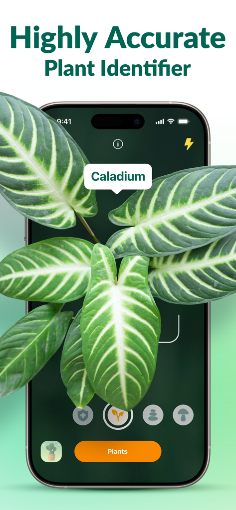 Plantum App-Bildschirm identifiziert eine Kaladienpflanze mithilfe eines hochpräzisen KI-Scanners