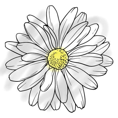 flowers_21