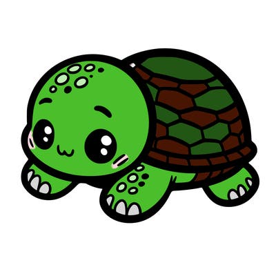 baby turtle