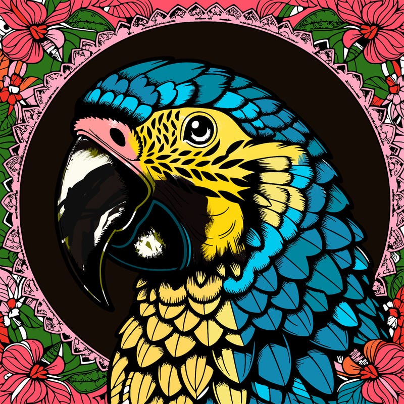 realistic parrot mandala