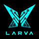 Larva VPN - Hide your IP