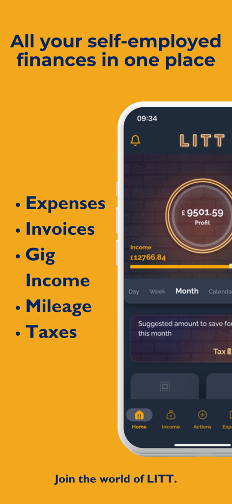 Painel do aplicativo LITT mostrando métricas de lucro e renda para freelancers e trabalhadores de bicos.