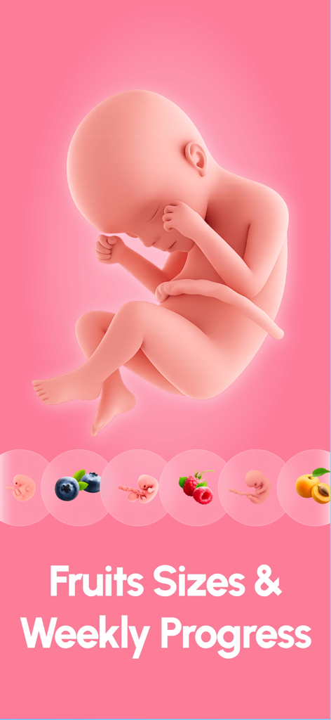 Pregnancy Tracker - Lifeing - 3D illustration of a fetus with a timeline comparing baby growth to fruit sizes for weekly pregnancy tracking.