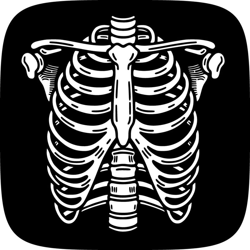 rib cage, black background