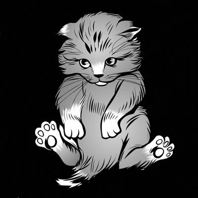 animals_20