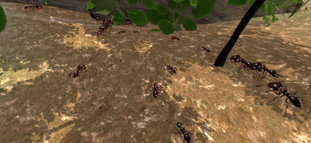 Ant Simulation 3D - Várias formigas 3D rastejando em uma superfície rochosa em um ambiente florestal realista