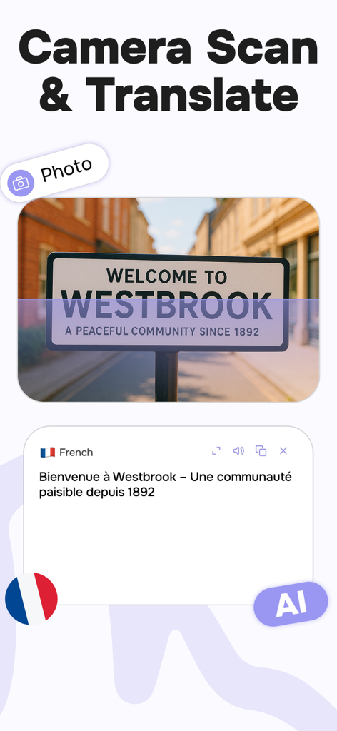 Ave app camera scan and translation feature showing a street sign translated to French