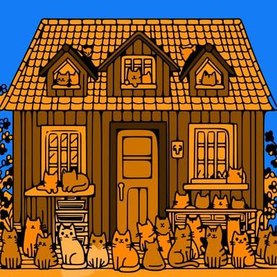 house full of cats
