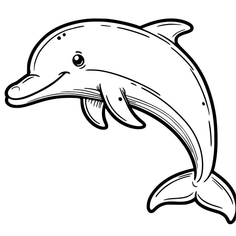 dolphin