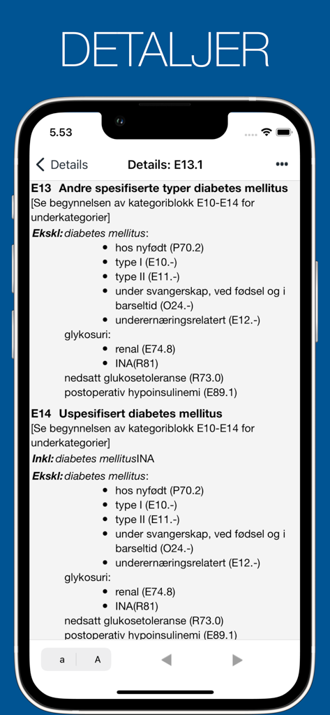 진단 코드 앱에서 당뇨병의 ICD-10 의료 코드에 대한 상세 보기