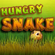 Hungry Snake 2